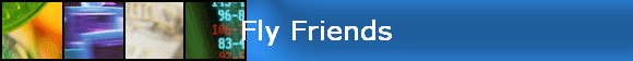 Fly Friends